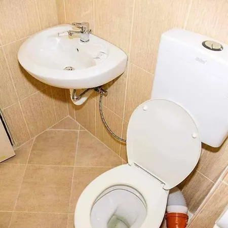 силвия Guest house Shkorpilovtsi